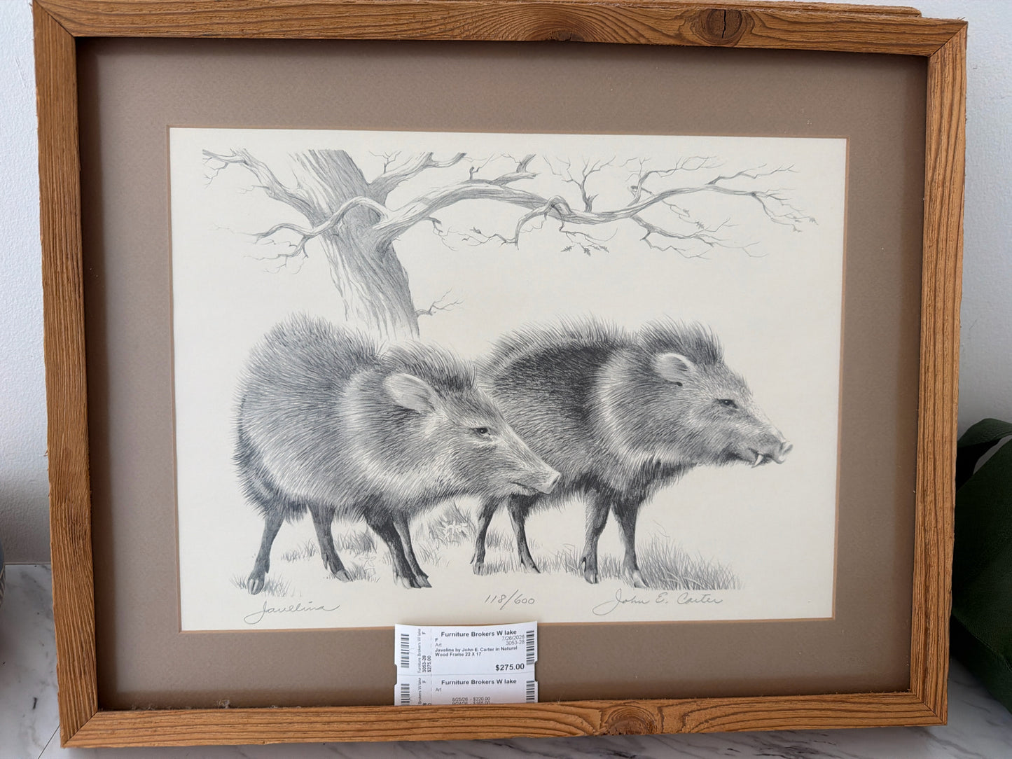 Javelina by John E. Carter in Natural Wood Frame 22 X 17