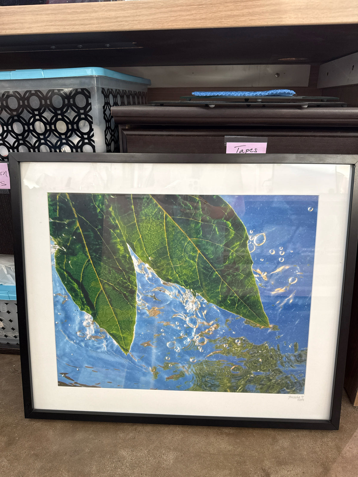 Signed Photo of Leaves in Black Frame (25x21)