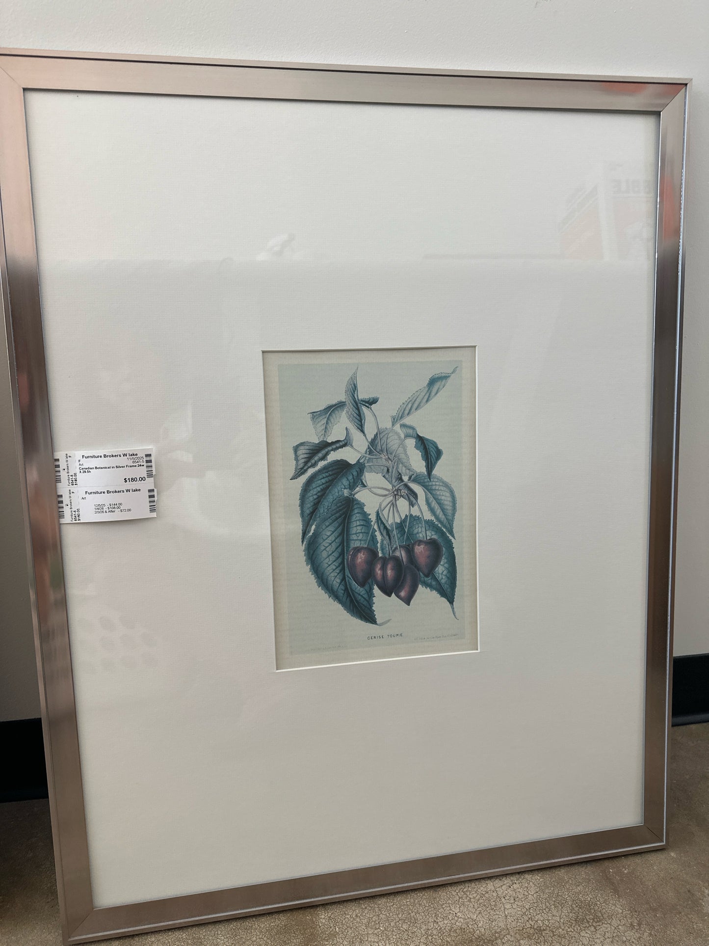 Canadian Botanical in Silver Frame 24w X 29.5h