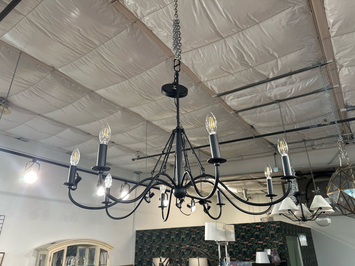 Black 8 Light Chandelier