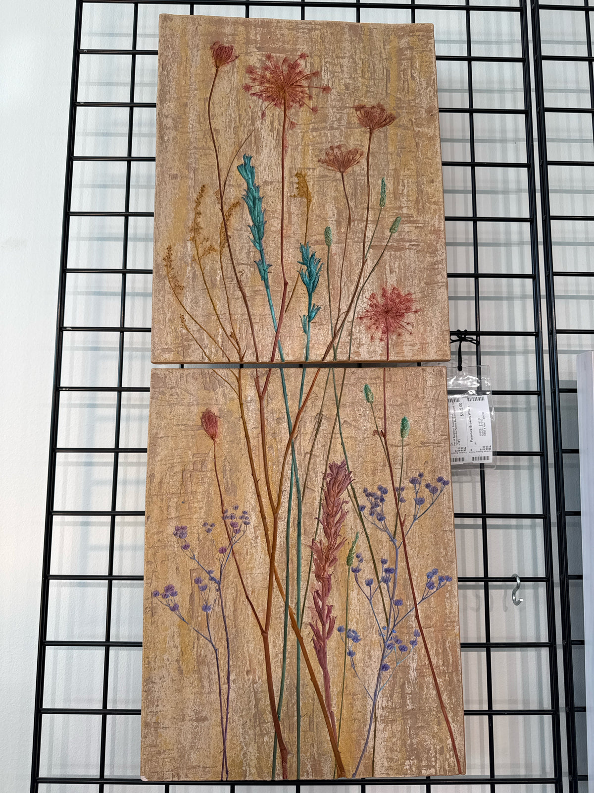 Pair of Botanical Paintings on Terracotta by Pamela Banker (signed, 14 x 18")