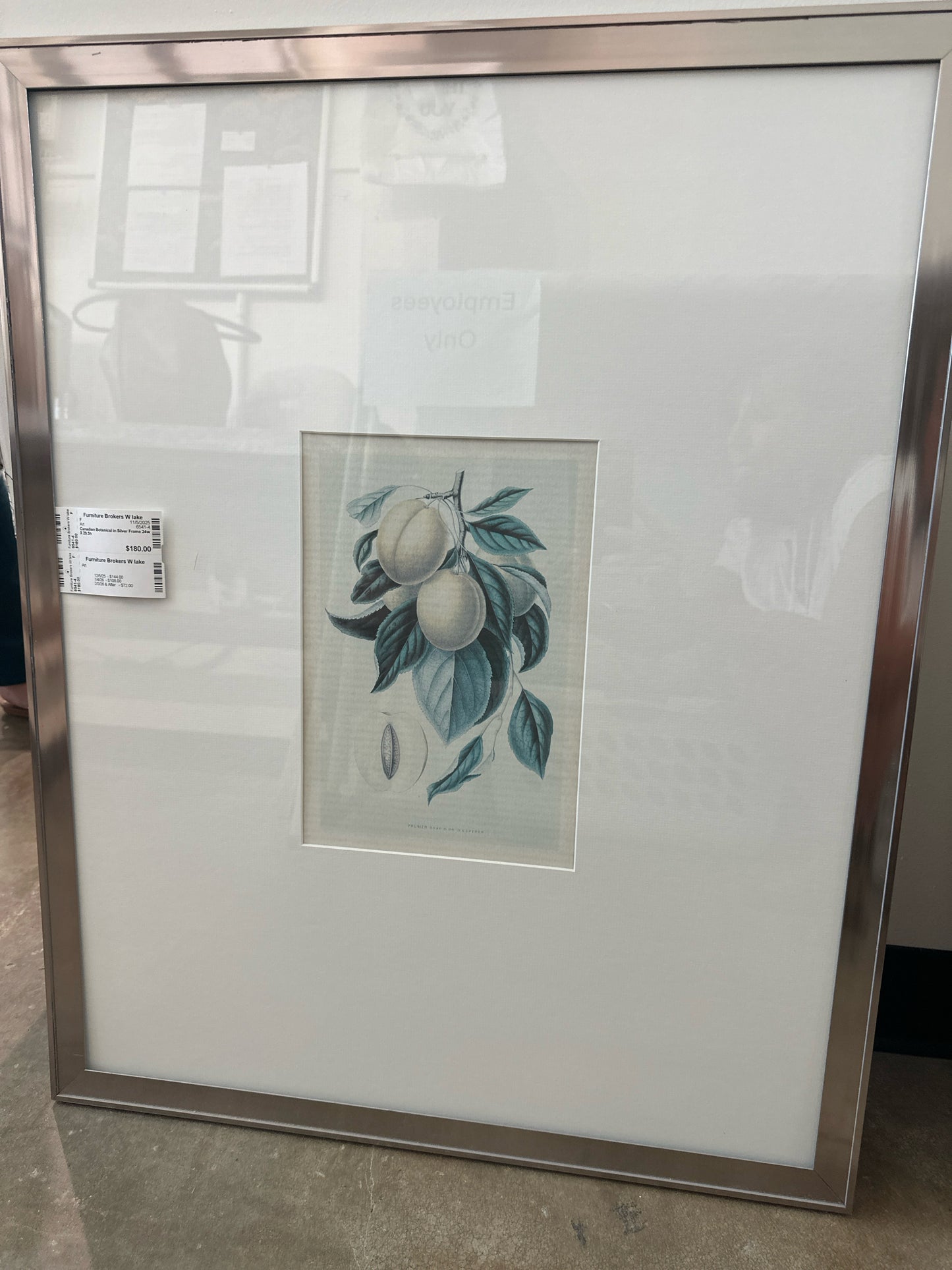 Canadian Botanical in Silver Frame 24w X 29.5h