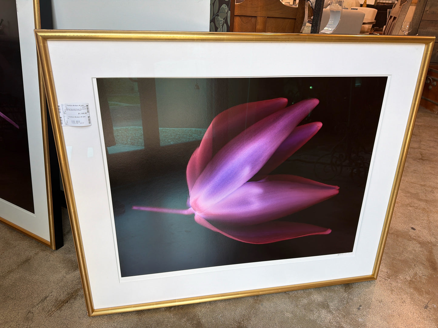 Matthew Fuller-2010 Flower Photograph 43.5 x 36 (small chip on frame)