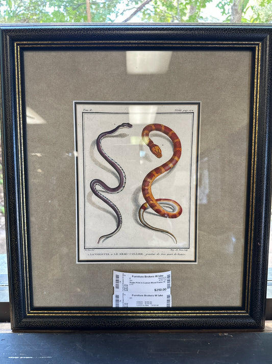 Snake Print in Custom Wood Frame 15 x 17