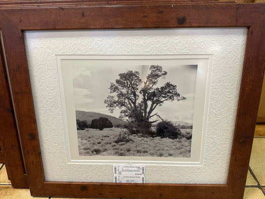 Wood Framed Western Photo from Amon Carter Museum 23 1/4 X 19 1/4