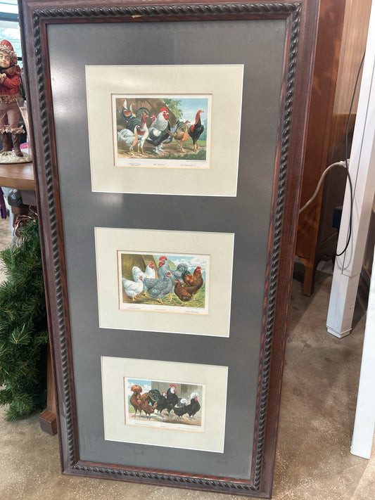 Three Vintage Barn Fowl Cards - Framed