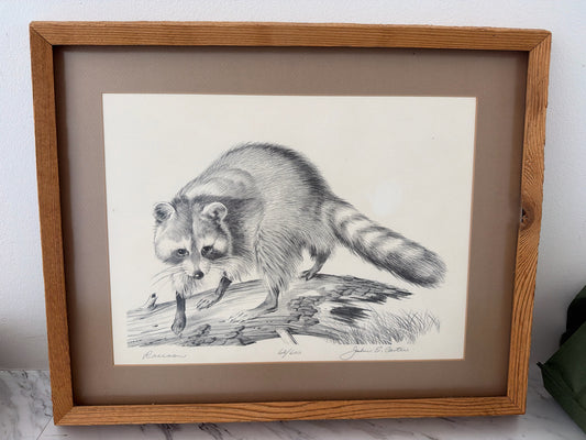 Racoon by John E. Carter in Natural Wood Frame 22 X 17