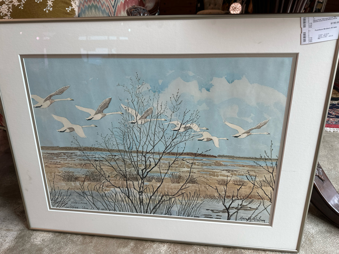 Signed Print "Whooper Swans" By Swedish Artist Harold Wiberg 34x26