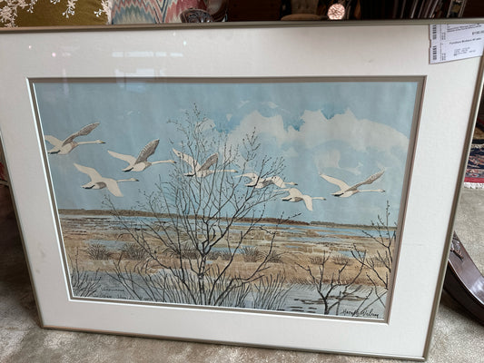 Signed Print "Whooper Swans" By Swedish Artist Harold Wiberg 34x26