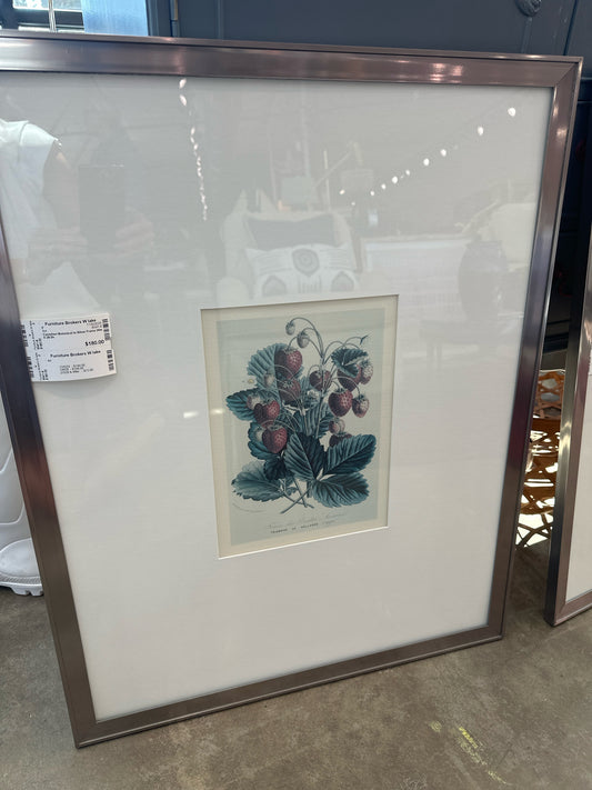 Canadian Botanical in Silver Frame 24w X 29.5h