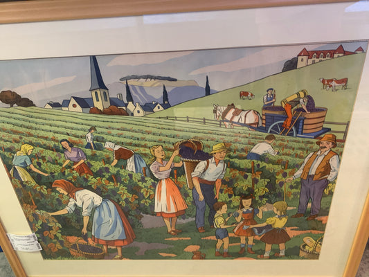 Vintage French Educational Poster "Grapes Harvest Scene" in Natural Frame 36x28