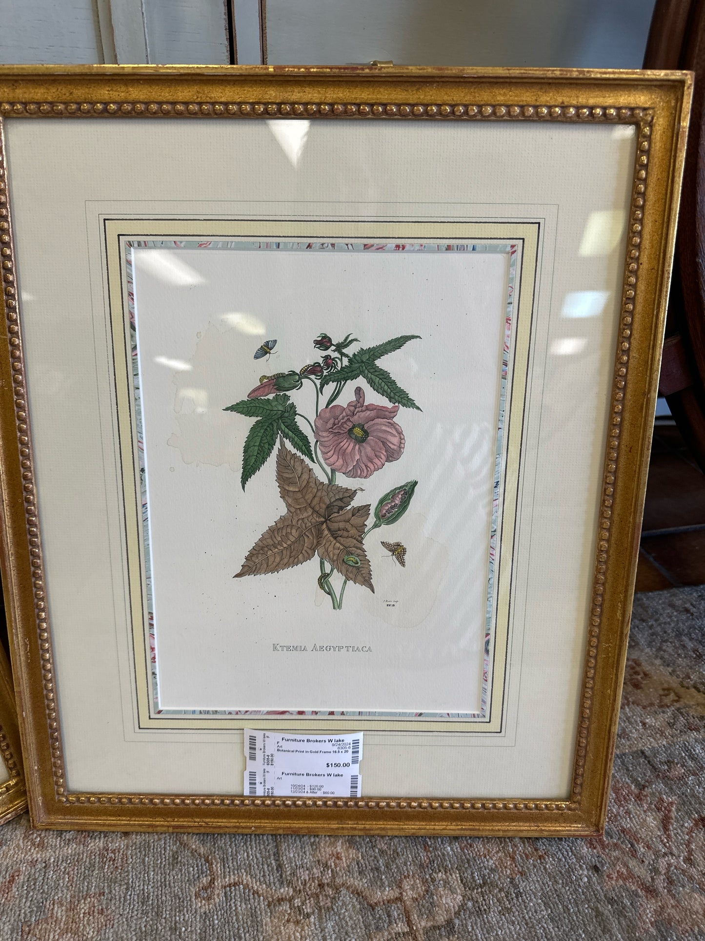 Botanical Print in Gold Frame 16.5 x 20