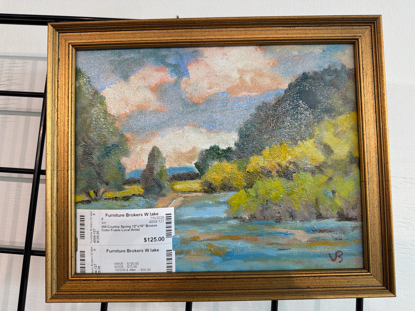 Hill Country Spring 12"x10" Bronze Color Frame Local Artist