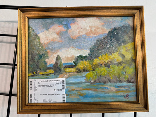 Hill Country Spring 12"x10" Bronze Color Frame Local Artist