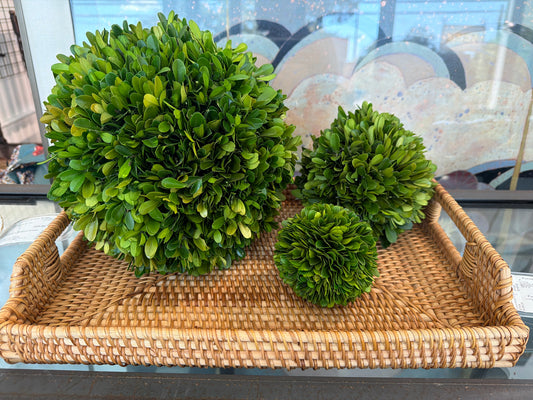 SET of 3 Boxwood Balls