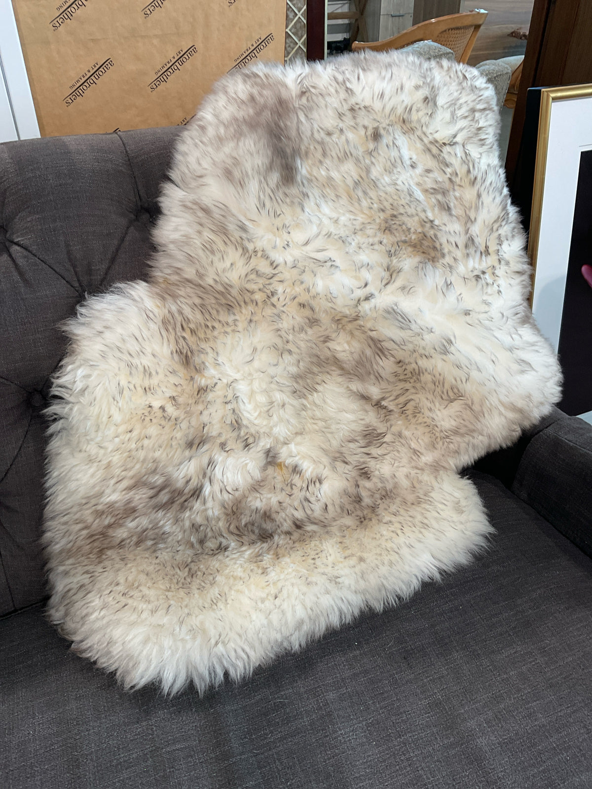 43 x 25  Natural Sheepskin Pelt Rug, Ivory Roots w/Gray Tips