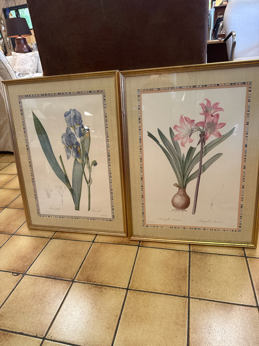 PAIR - Botanical Prints in Gold Frame 20x26