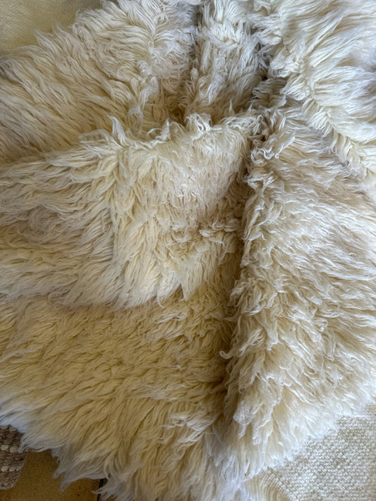 5X7 100% Nw Zealand Wook White Rug