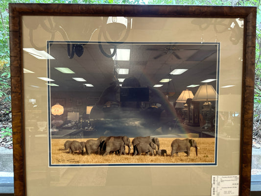 Elephant Photograph in Wood Frame 26x22