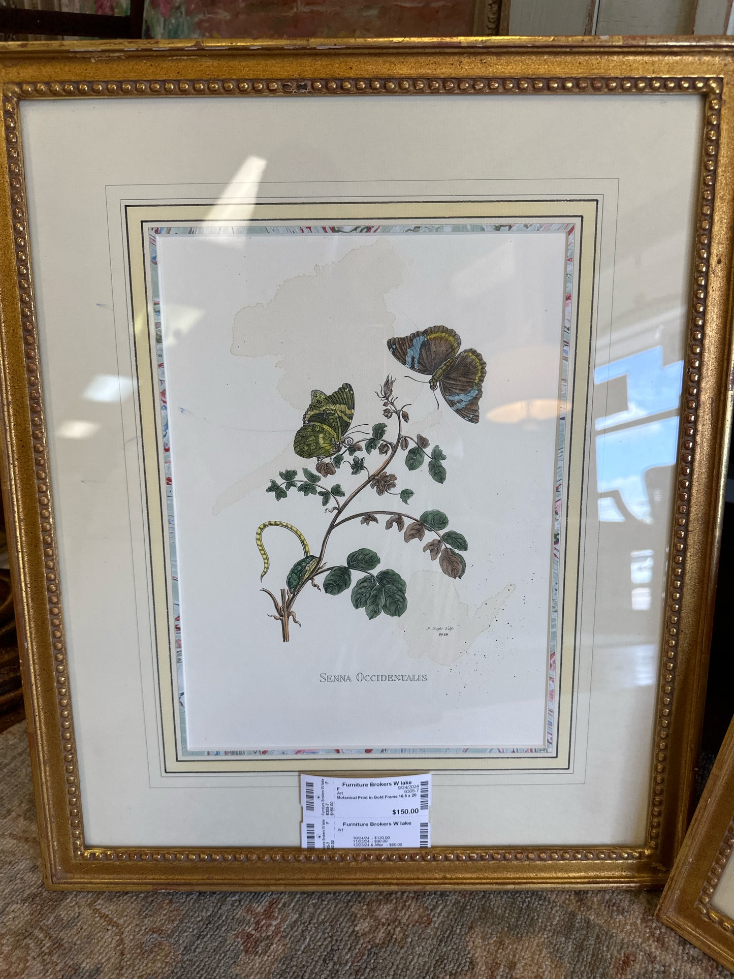 Botanical Print in Gold Frame 16.5 x 20