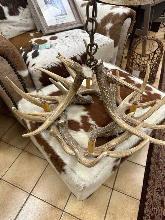 Faux Antler 4 Light Chandelier